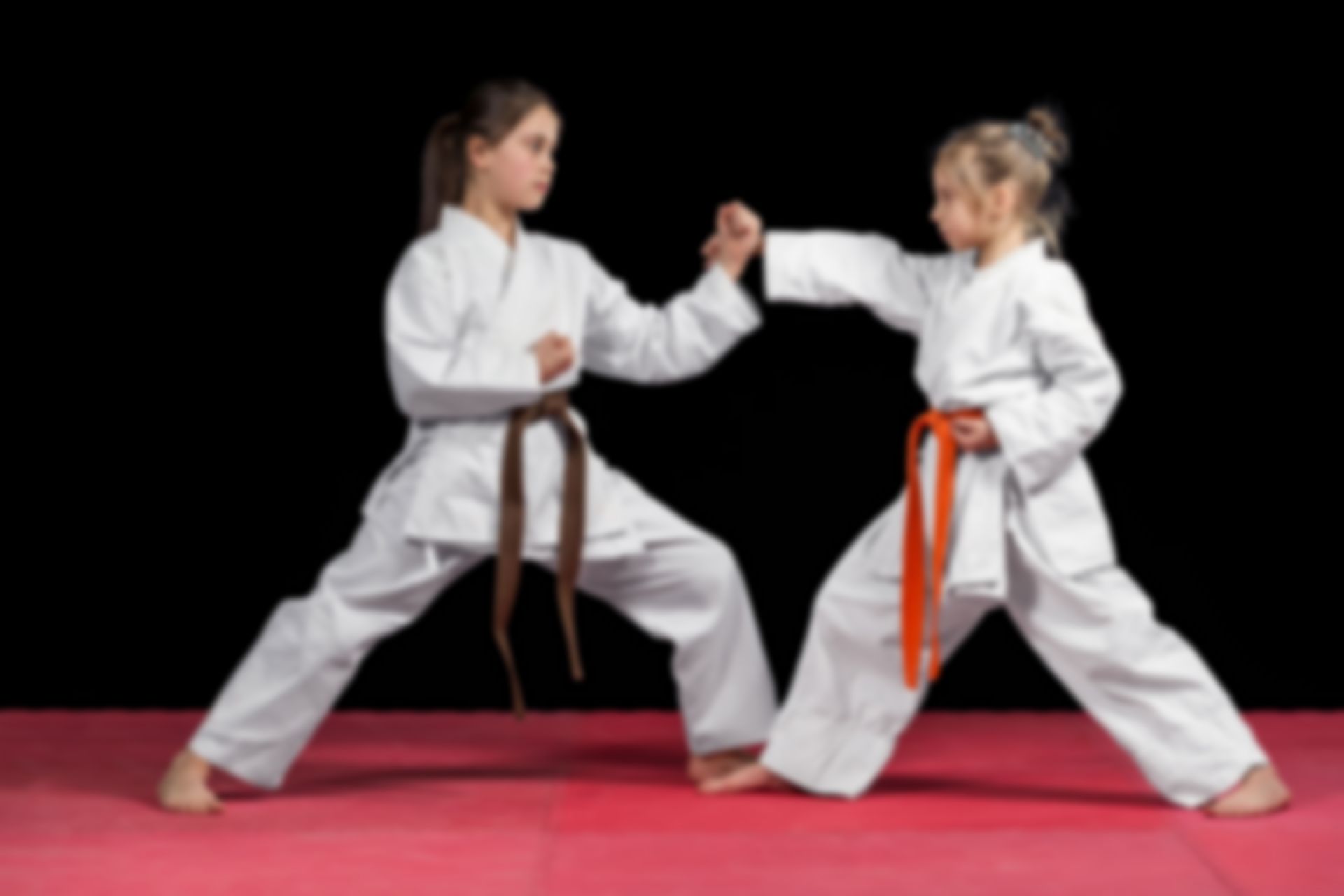 //new.tkd-institute.com/wp-content/uploads/2018/02/img_11.jpg